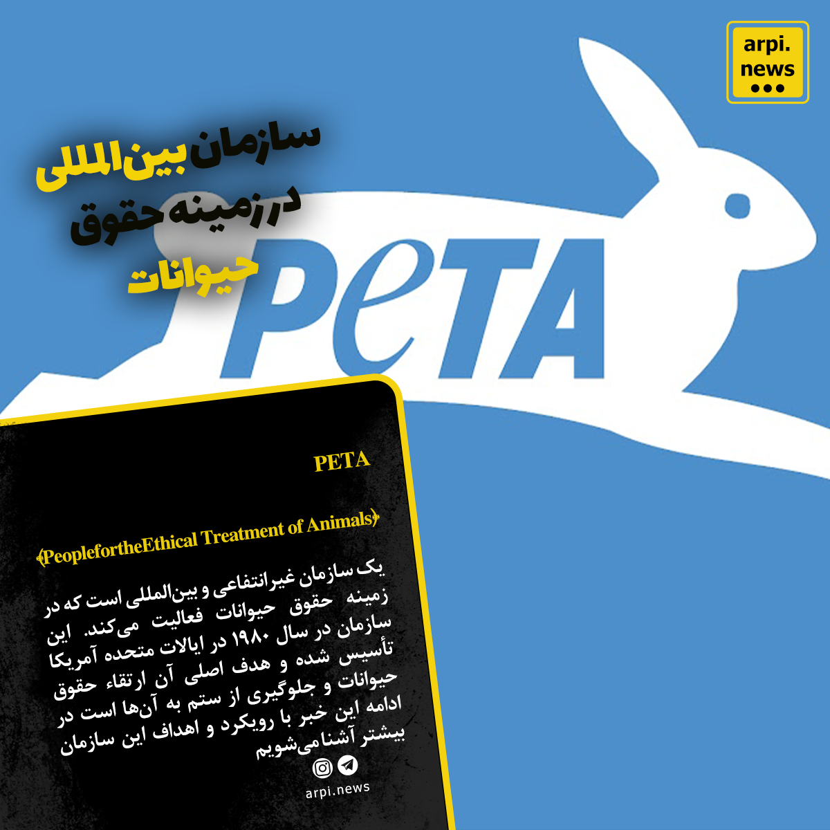 PETA سازمان بینالمللی در زمینه حقوق حیوانات
